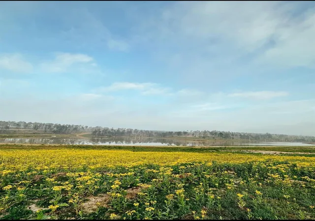 Photo 2 of Land for sale at 0000 Covey Cir, Livingston, TX 77351 | MLS# 12440707 | Listing updated on 2026-08-11