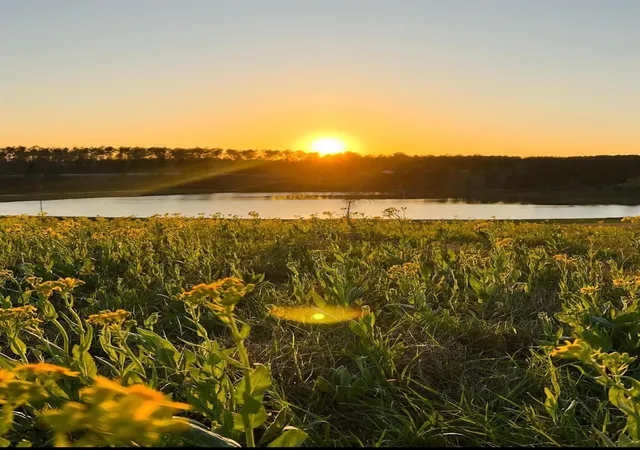 Photo 3 of Land for sale at 0000 Covey Cir, Livingston, TX 77351 | MLS# 12440707 | Listing updated on 2026-08-11