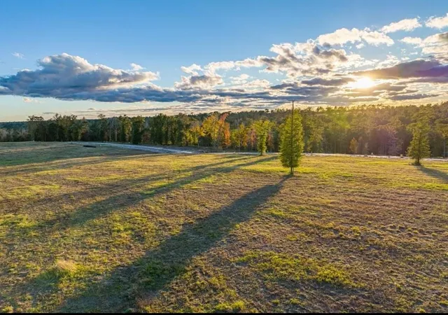 Photo 3 of Land for sale at 0000 Covey Cir, Livingston, TX 77351 | MLS# 12440707 | Listing updated on 2026-08-11