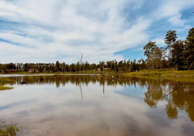 Photo 4 of Land for sale at 0000 Covey Cir, Livingston, TX 77351 | MLS# 12440707 | Listing updated on 2026-08-11