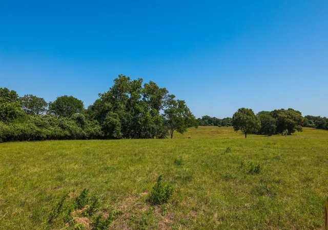 32nd image of Tract #9 Cr 305 Rd, Navasota, TX 77868 | MLS# 75289620