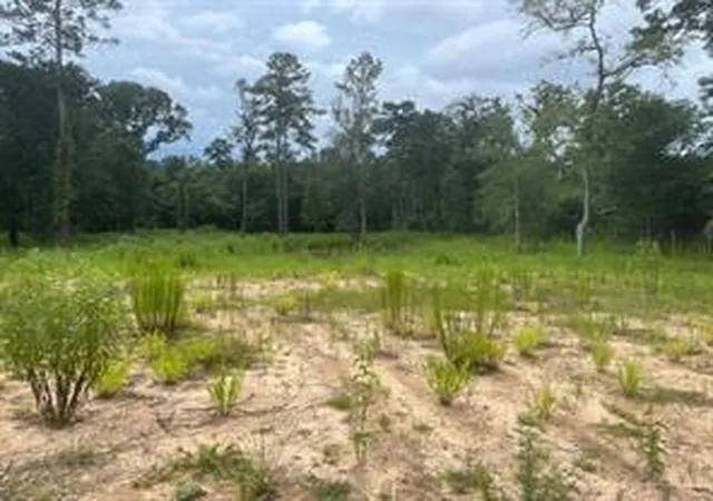 Photo 8 of Land for sale at 1655 Clark Rd, Plantersville, TX 77363 | MLS# 17157397 | Listing updated on 2026-08-12