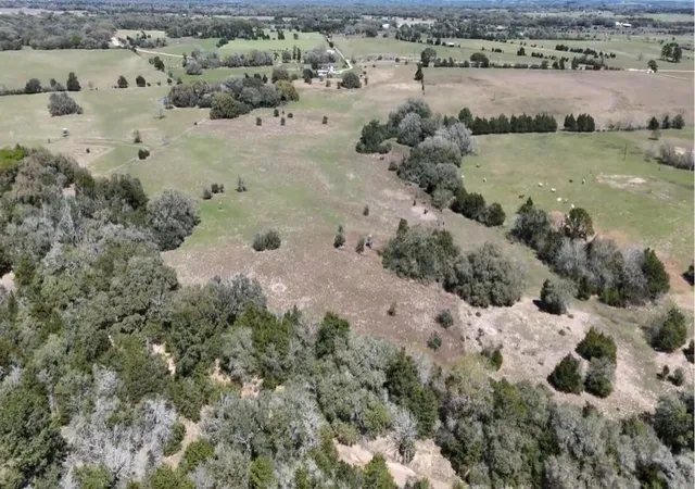 15th image of Tr 2 Reitz Quinn Rd, Cat Spring, TX 78933 | MLS# 94001723
