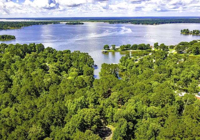 Photo 2 of Land for sale at Tbd Pine Cir, Trinity, TX 75862 | MLS# 49470862 | Listing updated on 2026-08-14