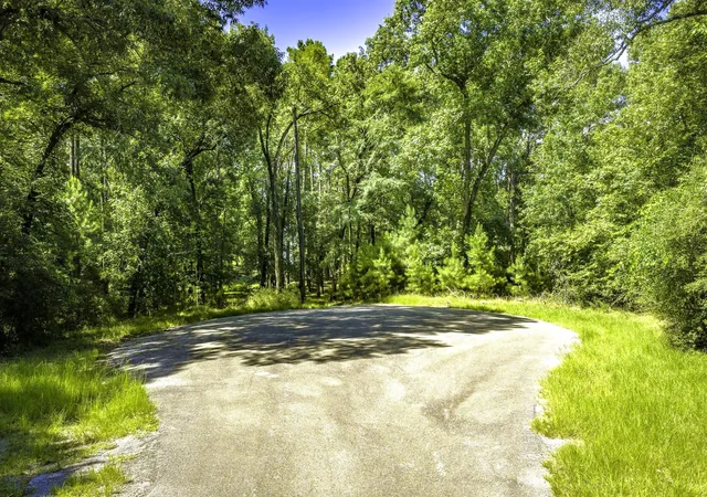 Photo 4 of Land for sale at Tbd Pine Cir, Trinity, TX 75862 | MLS# 49470862 | Listing updated on 2026-08-14