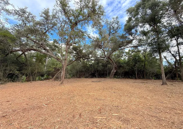 Photo 1 of Land for sale at Lot 12a2 Cr 345, Brazoria, TX 77422 | MLS# 4746183 | Listing updated on 2026-10-07