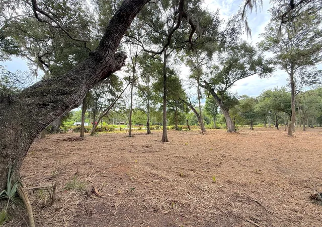 Photo 2 of Land for sale at Lot 12a2 Cr 345, Brazoria, TX 77422 | MLS# 4746183 | Listing updated on 2026-10-07