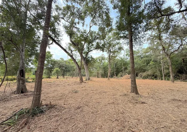 Photo 3 of Land for sale at Lot 12a2 Cr 345, Brazoria, TX 77422 | MLS# 4746183 | Listing updated on 2026-10-07