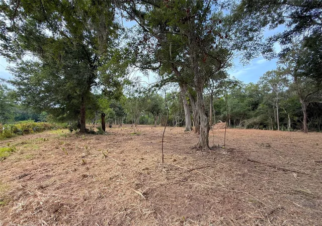 Photo 3 of Land for sale at Lot 12a2 Cr 345, Brazoria, TX 77422 | MLS# 4746183 | Listing updated on 2026-10-07