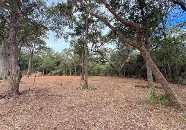 Photo 4 of Land for sale at Lot 12a2 Cr 345, Brazoria, TX 77422 | MLS# 4746183 | Listing updated on 2026-10-07