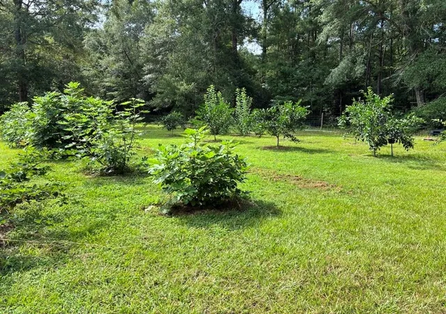 24th image of 10654 Bevil Blvd, Kountze, TX 77625 | MLS# 10836010