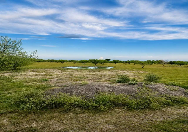 1st image of 13510 Moody Rd, Needville, TX 77461 | MLS# 24461683