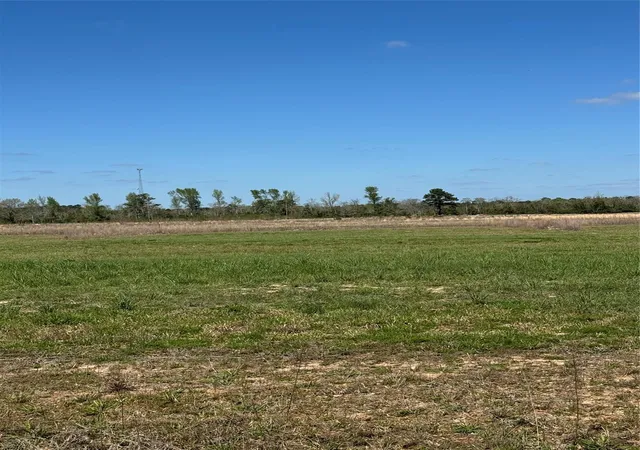 Land for sale at 428 County Rd 2278, Cleveland, TX 77327 | MLS# 31060585