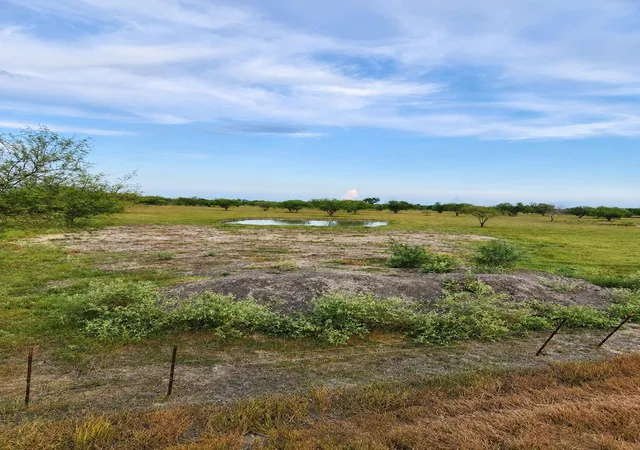 1st image of 13520 Moody Rd, Needville, TX 77461 | MLS# 80312563