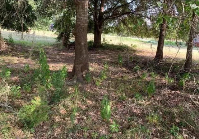 2nd image of 8 Wild Iris Ct, Huntsville, TX 77340 | MLS# 72873250