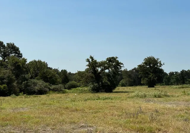 3rd image of 16271 Fm 1469, Marquez, TX 77865 | MLS# 52680173