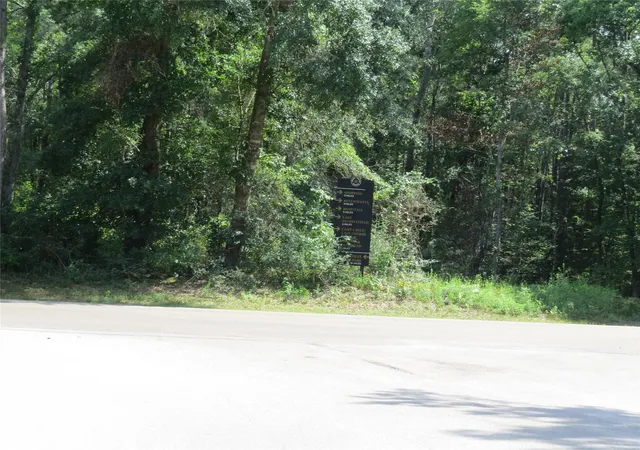 3rd image of 00 Texas Grand Rd, Huntsville, TX 77340 | MLS# 67263103