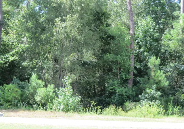4th image of 00 Texas Grand Rd, Huntsville, TX 77340 | MLS# 67263103