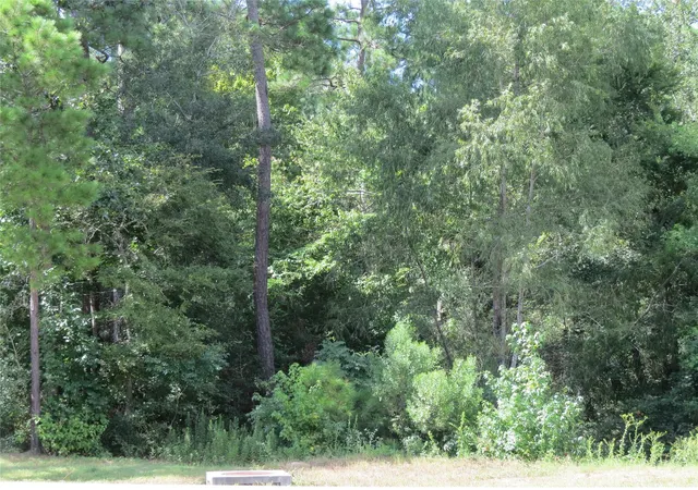 6th image of 00 Texas Grand Rd, Huntsville, TX 77340 | MLS# 67263103