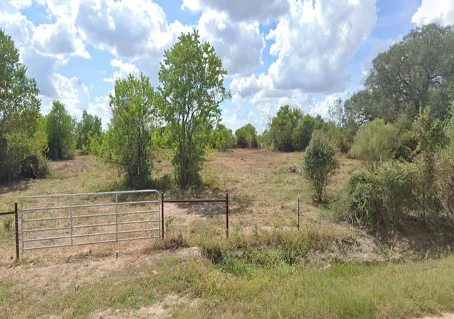 5th image of 00 Burton Cemetery Rd, Waller, TX 77484 | MLS# 45763508