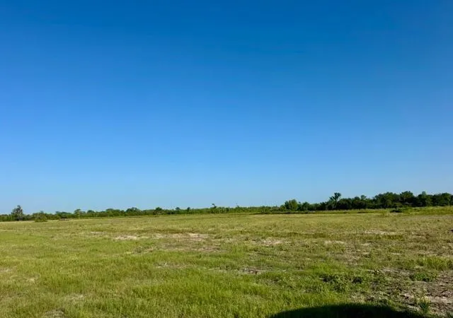 Land for sale at 0000 Fm 1462, Rosharon, TX 77583 | MLS# 34807483