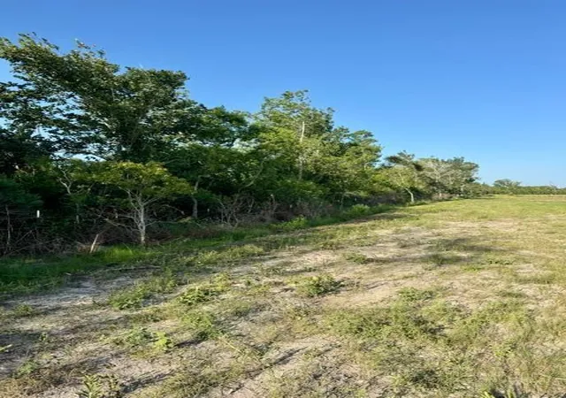 Photo 2 of Land for sale at 0000 Fm 1462, Rosharon, TX 77583 | MLS# 34807483 | Listing updated on 2026-08-27