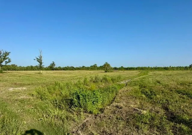 Photo 3 of Land for sale at 0000 Fm 1462, Rosharon, TX 77583 | MLS# 34807483 | Listing updated on 2026-08-27