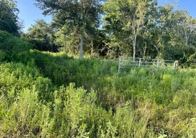 Photo 4 of Land for sale at 0000 Fm 1462, Rosharon, TX 77583 | MLS# 34807483 | Listing updated on 2026-08-27