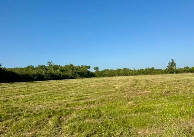 Photo 7 of Land for sale at 0000 Fm 1462, Rosharon, TX 77583 | MLS# 34807483 | Listing updated on 2026-08-27