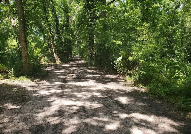 3rd image of 000 County Road 488B, Sweeny, TX 77480 | MLS# 56525473