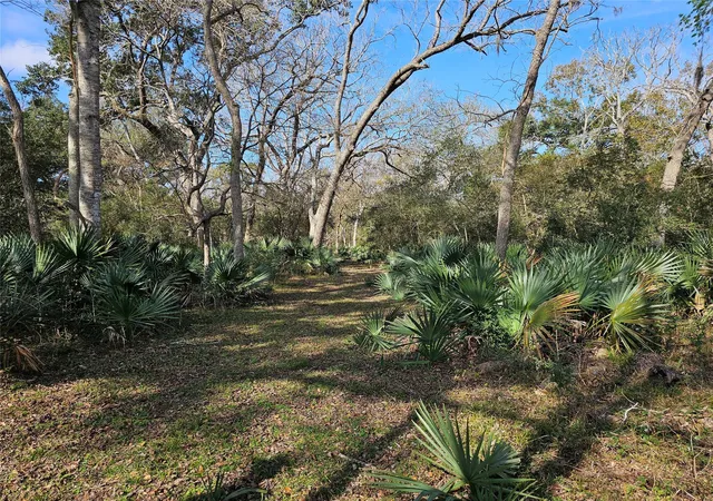 4th image of 000 County Road 488B, Sweeny, TX 77480 | MLS# 56525473