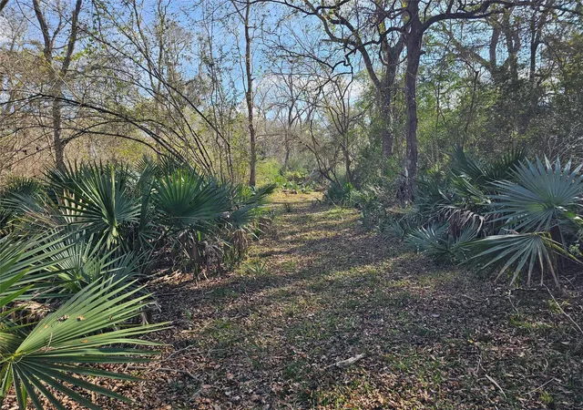 5th image of 000 County Road 488B, Sweeny, TX 77480 | MLS# 56525473