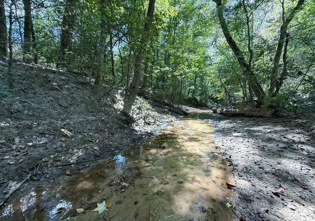 Photo 1 of Sale Pending at 40 Ac Pr 2190, Buffalo, TX 75831 | MLS# 80531045 | Listing updated on 2026-08-28
