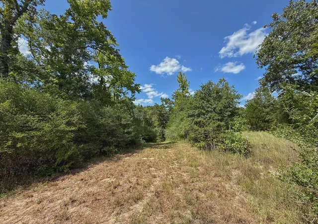 Photo 2 of Sale Pending at 40 Ac Pr 2190, Buffalo, TX 75831 | MLS# 80531045 | Listing updated on 2026-08-28