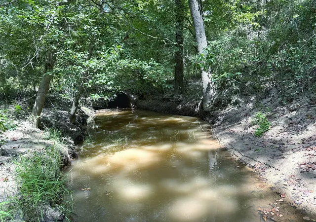 Photo 4 of Sale Pending at 40 Ac Pr 2190, Buffalo, TX 75831 | MLS# 80531045 | Listing updated on 2026-08-28