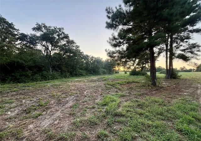 48th image of 3458 Private Road 1425, Centerville, TX 75833 | MLS# 52608445