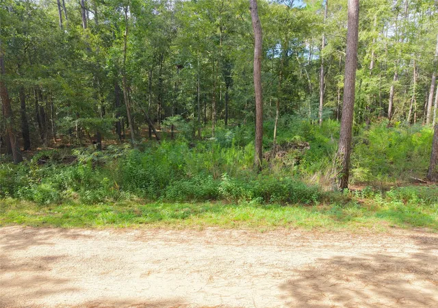 3rd image of 0 Largent Dr, Plantersville, TX 77363 | MLS# 10864203