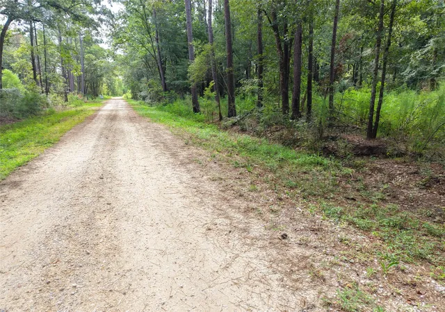 4th image of 0 Largent Dr, Plantersville, TX 77363 | MLS# 10864203