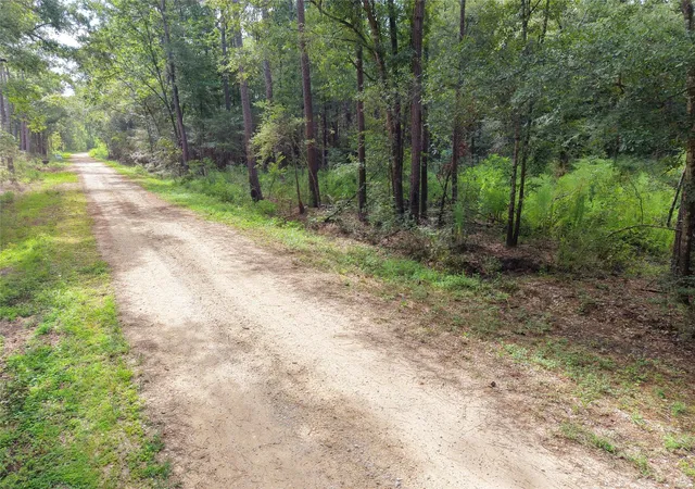 5th image of 0 Largent Dr, Plantersville, TX 77363 | MLS# 10864203