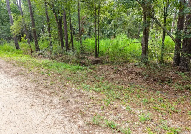 7th image of 0 Largent Dr, Plantersville, TX 77363 | MLS# 10864203