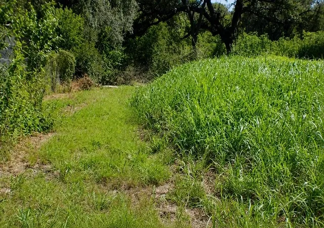 3rd image of Lot 6 Sw Blk 1St Ave, Waelder, TX 78959 | MLS# 78711552