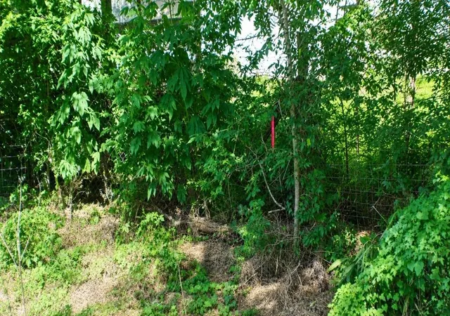7th image of Lot 6 Sw Blk 1st Ave, Waelder, TX 78959 | MLS# 78711552