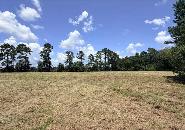 1st image of 000 Old Sour Lake Rd, Saratoga, TX 77585 | MLS# 95869415