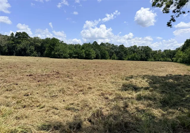 3rd image of 000 Old Sour Lake Rd, Saratoga, TX 77585 | MLS# 95869415