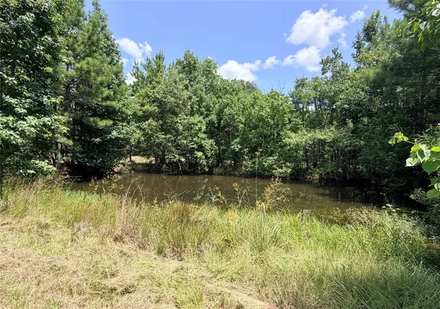 4th image of 000 Old Sour Lake Rd, Saratoga, TX 77585 | MLS# 95869415