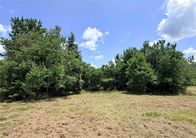 5th image of 000 Old Sour Lake Rd, Saratoga, TX 77585 | MLS# 95869415