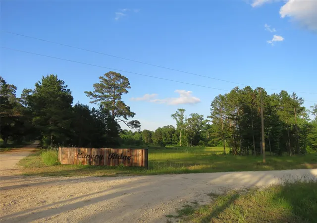 2nd image of Tbd Canopy Ridge Trl, Kennard, TX 75847 | MLS# 66771598