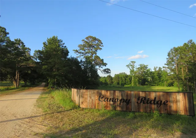 4th image of Tbd Canopy Ridge Trl, Kennard, TX 75847 | MLS# 66771598