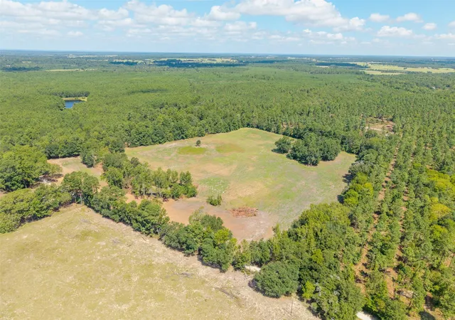 Photo 3 of Land for sale at Tbd Cr 3365, Lovelady, TX 75851 | MLS# 85627987 | Listing updated on 2026-08-13