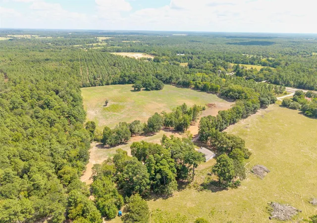 Photo 4 of Land for sale at Tbd Cr 3365, Lovelady, TX 75851 | MLS# 85627987 | Listing updated on 2026-08-13